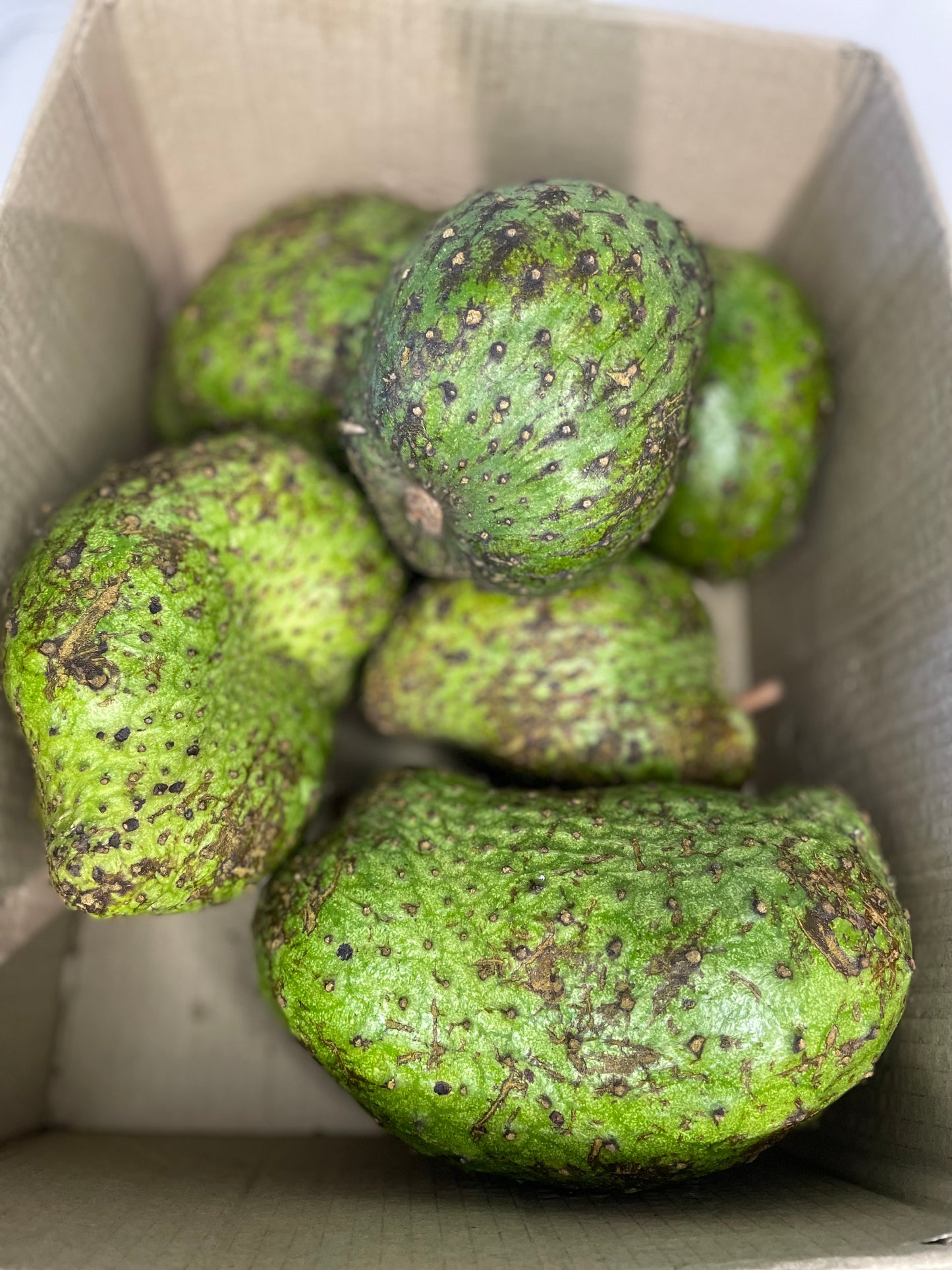 Sour sop fruit