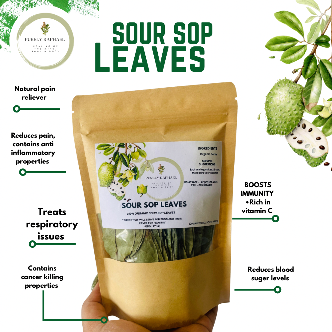 SOUR SOP LEAVES