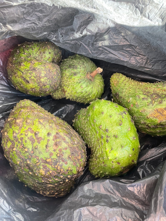 Sour sop fruit